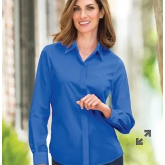 Foxcroft Tops - Foxcroft Wrinkle Free Classic Fit Shirt Women's Size 4P Blue Long Sleeve New VTG